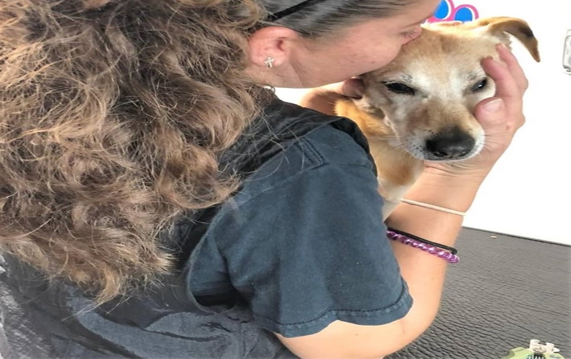 Sweet Pets